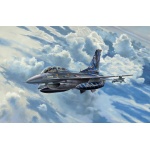 Revell 1/24 Lockheed Martin F-16D Tigermeet 2014 03844