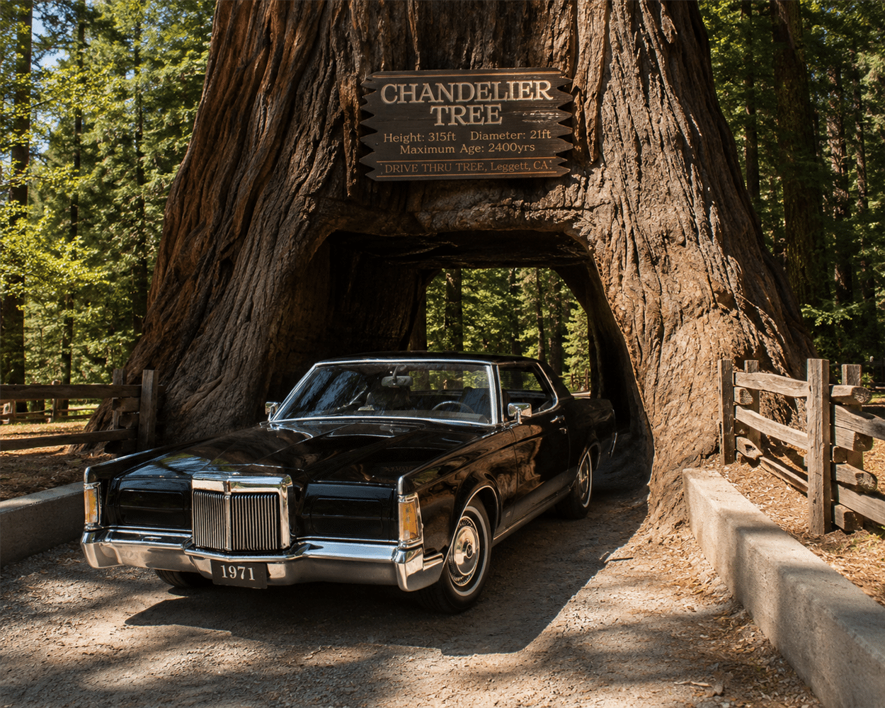 Cult Scale 1:18 Lincoln Continental Mark III 1971 Black (CML195-3) Limited Edition Resin Model 4 Cult Scale 1:18 Lincoln Continental Mark III 1971 Black (CML195-3) Limited Edition Resin Model - Image 4