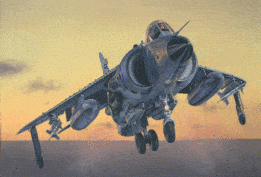Italeri - 1:72 FRS.1 Sea Harrier Falklands (1236) Model Kit