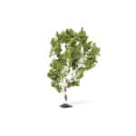 Hornby - Birch Tree (R7215) OO Gauge