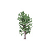 hornby - horse chestnut tree (r7211) oo gauge