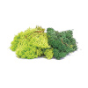 hornby - lichen - green mix (r7194) oo gauge
