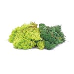 Hornby - Lichen - Green Mix (R7194) OO Gauge