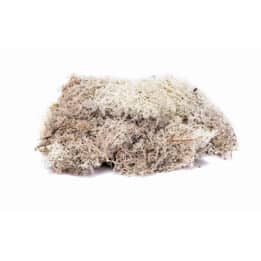 hornby - lichen - stone grey (r7193) oo gauge