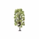 Hornby - Lime Tree (R7221) OO Gauge