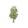 hornby - lime tree (r7223) oo gauge
