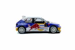 s1808308 peugeot 306 maxi rally du var 2017 1 05